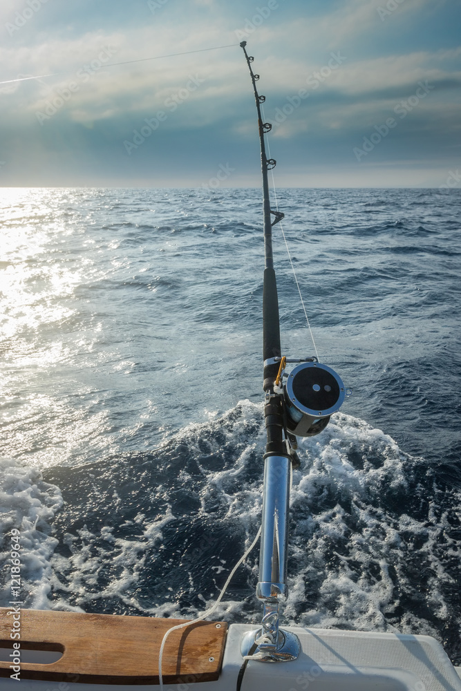The fishing-rod equipped with the coil The fishing-rod equipped with the coil