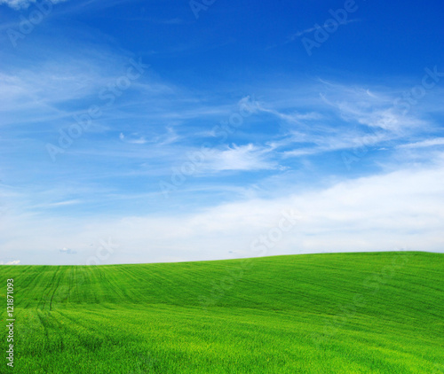 green field and blue sky © Pakhnyushchyy