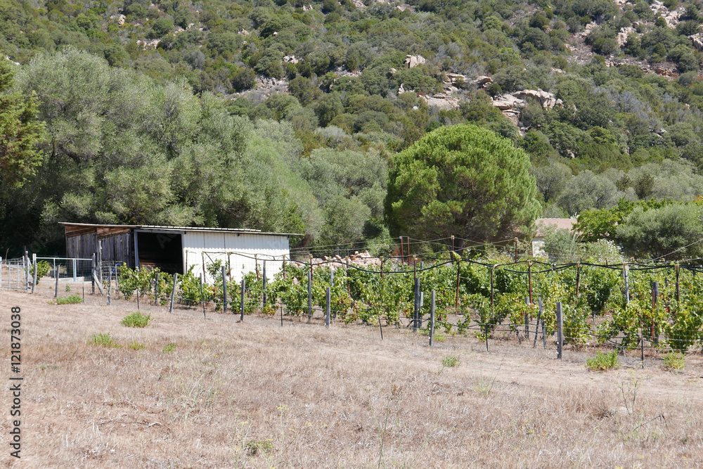 sejour en Corse sejour en Corse