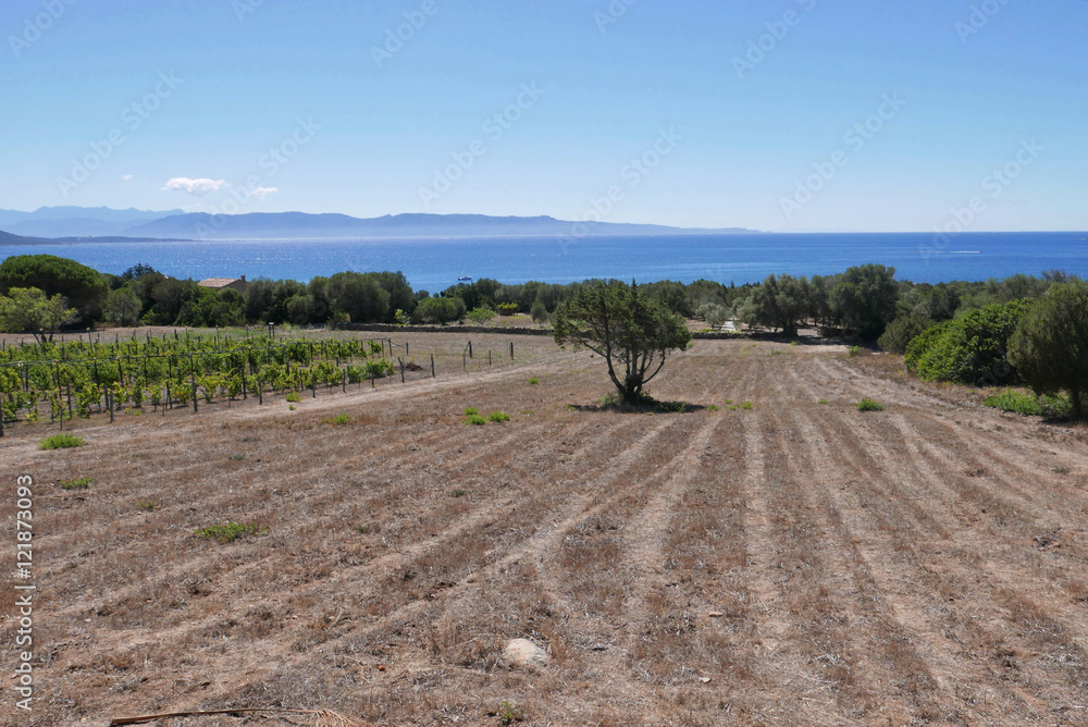 sejour en Corse