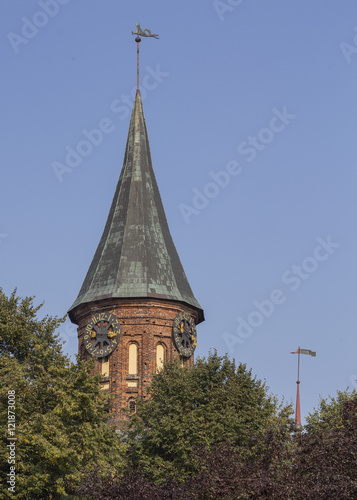 Tower Konigsberg Cathedral and Jasmine. Symbol of Kaliningrad