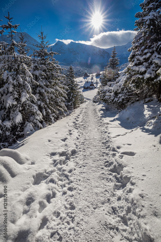 Winter trail to the valley gasienicowej at sunset, Tatra, Poland