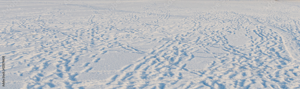 Naklejka premium Snow Photo Background