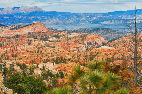 Red sandstone hoodoos in Bryce Canyon National Park in Utah, USA