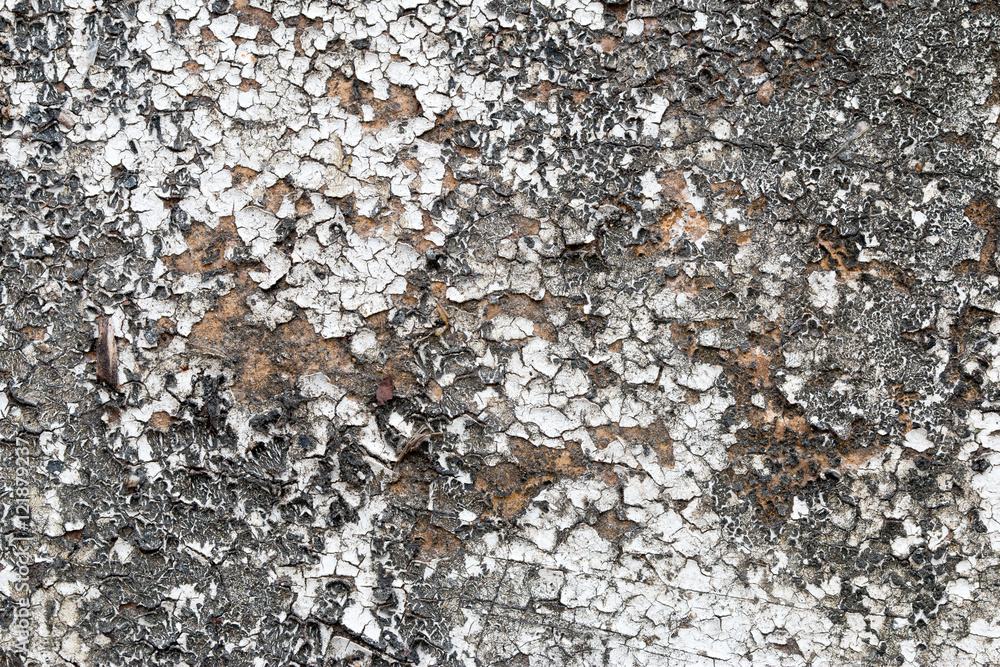 white concrete wall texture white concrete wall texture