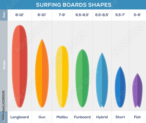 Surfing boards types colorful vector infographic design