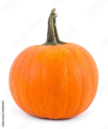 perfect pumpkin over white photo