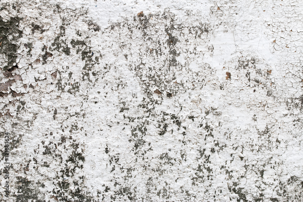 Obraz premium white concrete wall texture