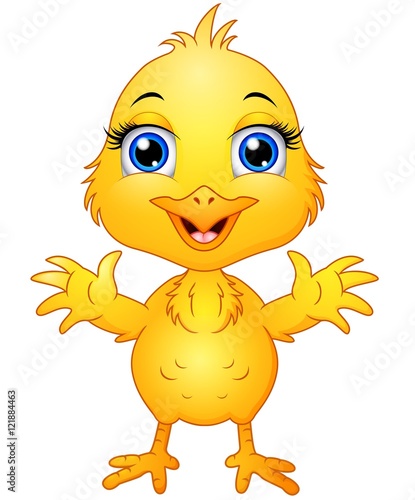 Cute baby chicken cartoon