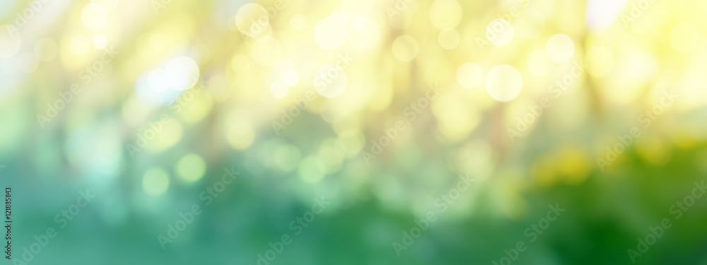 Obraz premium sunrise in the morning forest painting blurred