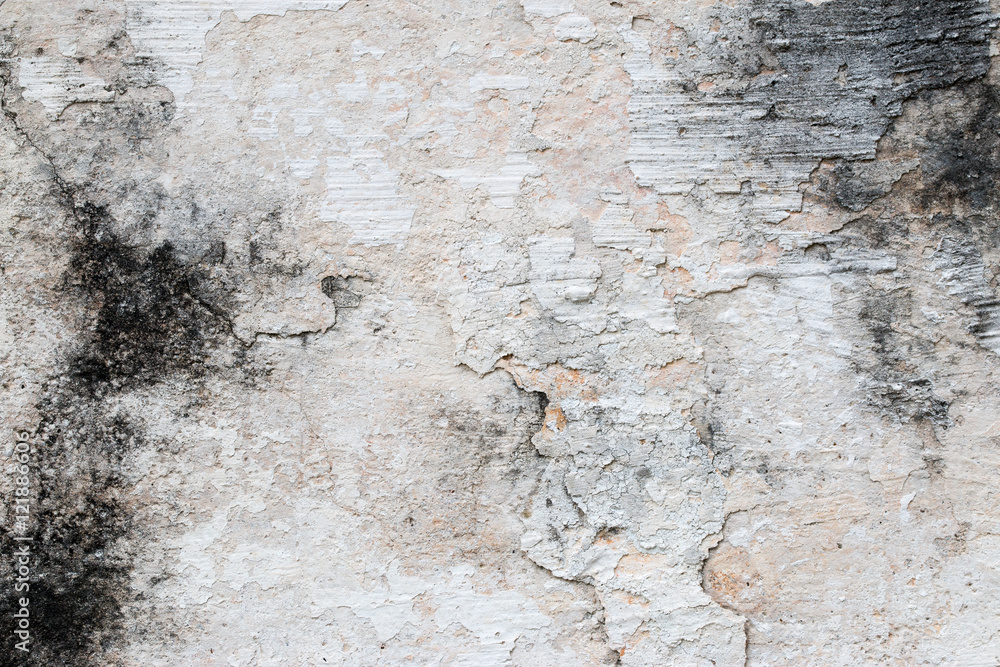 Obraz premium white concrete wall texture