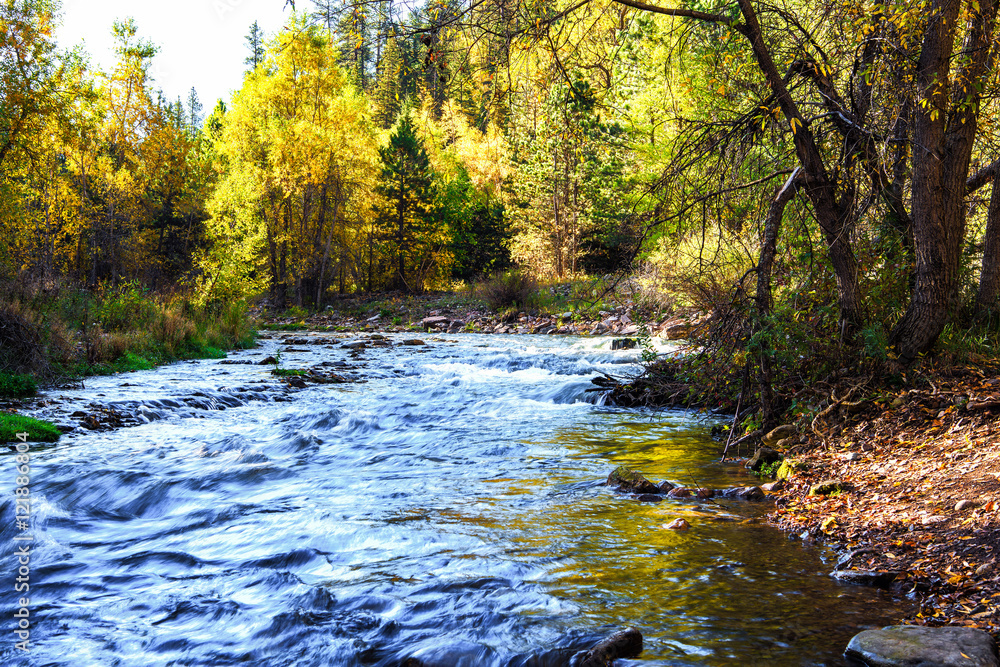 winding creek winding creek