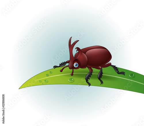 Cartoon rhino beetle on leaf

