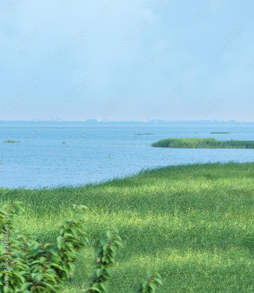 scenic view of sea with marsh grass at a sunny day