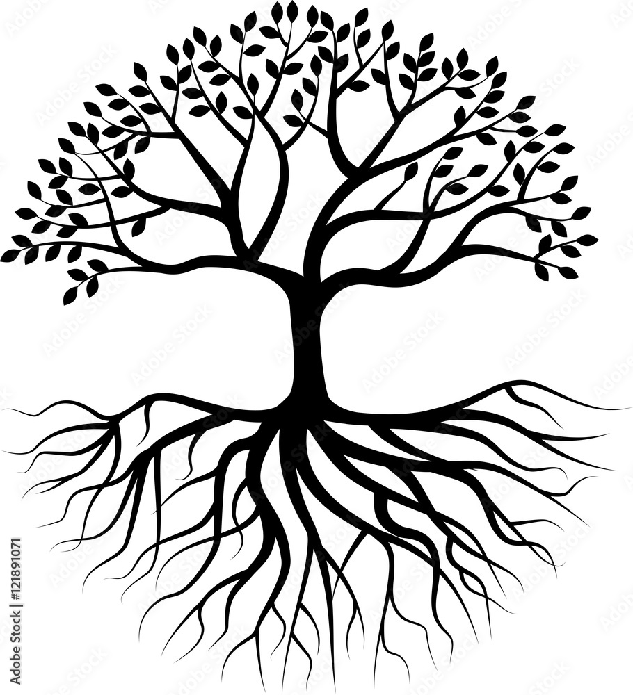 Obraz premium Sylwetka drzewa z korzeniem