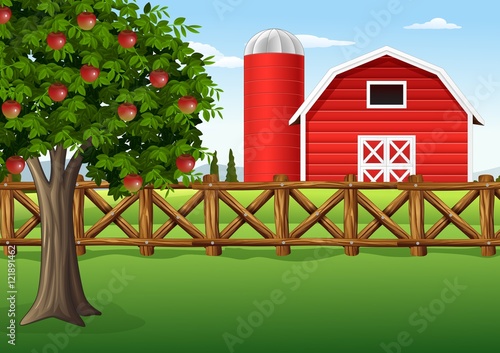 Apple tree on the farm