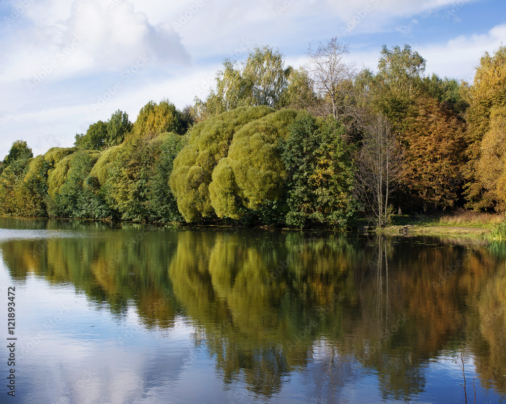 Summer landscape with a forest lake and trees Summer landscape with a forest lake and trees