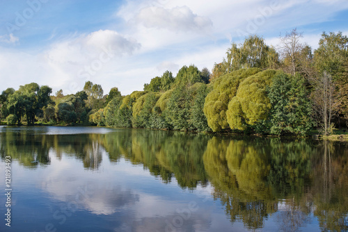 Summer landscape with a forest lake and trees