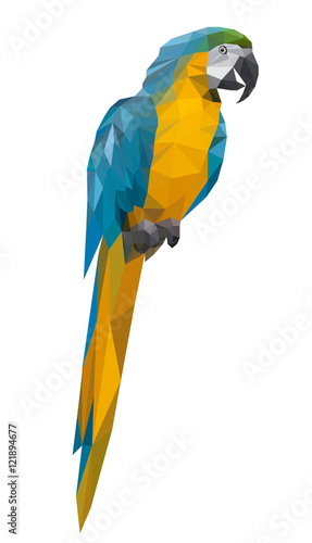  parrot polygon style