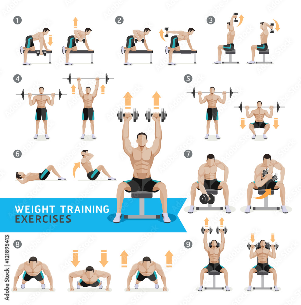 Dumbbell Exercises and Workouts WEIGHT TRAINING. Vector Illustra Dumbbell Exercises and Workouts WEIGHT TRAINING. Vector Illustra