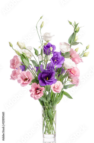 bunch of violet  white and pink eustoma flowers in glass vase is