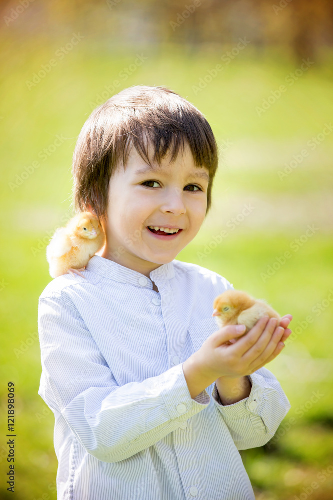 Sweet cute child, preschool boy, playing with little newborn chi Sweet cute child, preschool boy, playing with little newborn chi