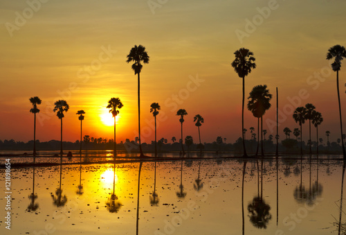 Twilight sunset sky reflect on the water with palm tree landscape