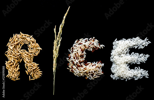 Alphabet letter from rice plant, paddy seed, brown rice, white (jasmine) rice. Dark background.
