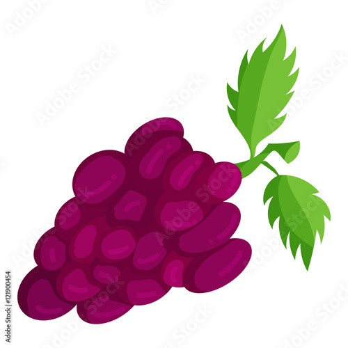Bunch of grapes icon in cartoon style isolated on white background. Fruits symbol vector illustration