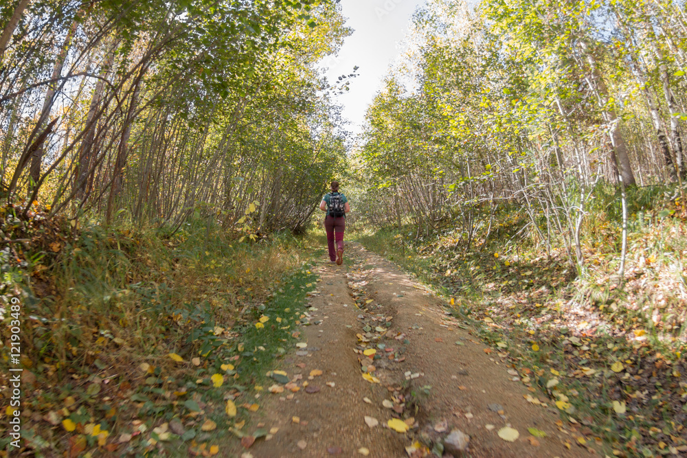 girl with a backpack walking along the road in the autumn forest