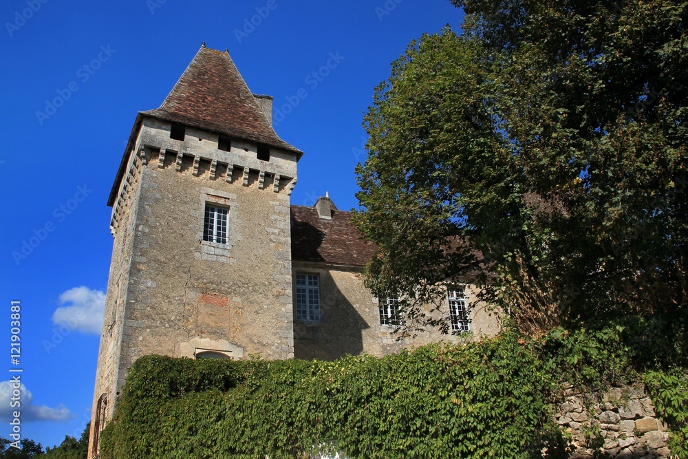 Château de la Marthonie à St jean de Côle.