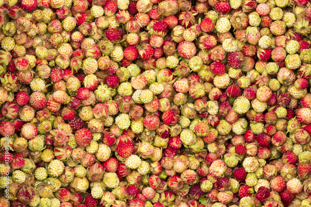 Wild strawberries, background Wild strawberries, background