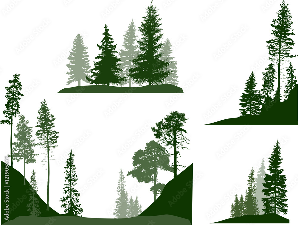 set of four green pines and firs trees compositions - obrazy, fototapety, plakaty 