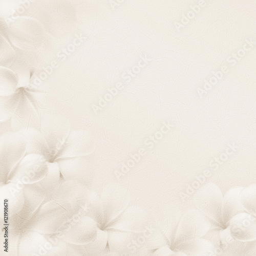 Fototapeta Naklejka Na Ścianę i Meble -  frangipani (plumeria), white flowers on white background

