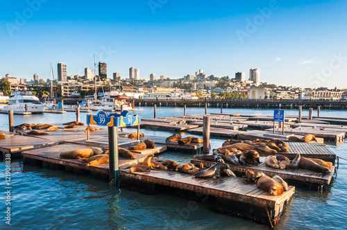 Famous pier 39 at the Fisherman's Wharf in San Francisco