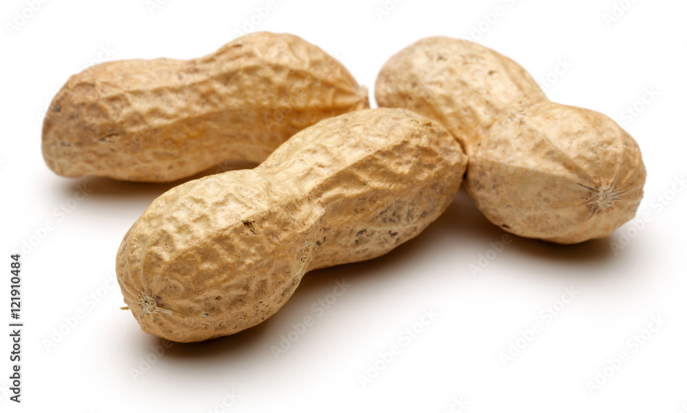 Peanut Peanut