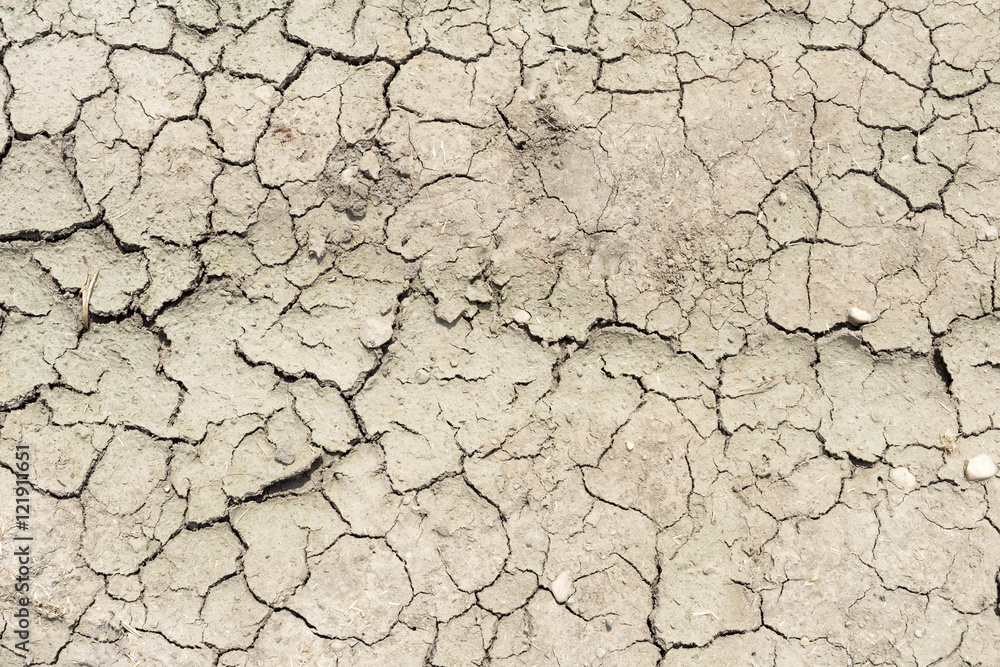 parched earth / parched earth in a field parched earth / parched earth in a field