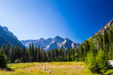 Tatry, Morskie Oko