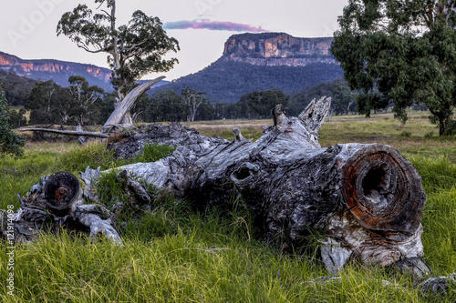 Obraz na plátně IMG-7589