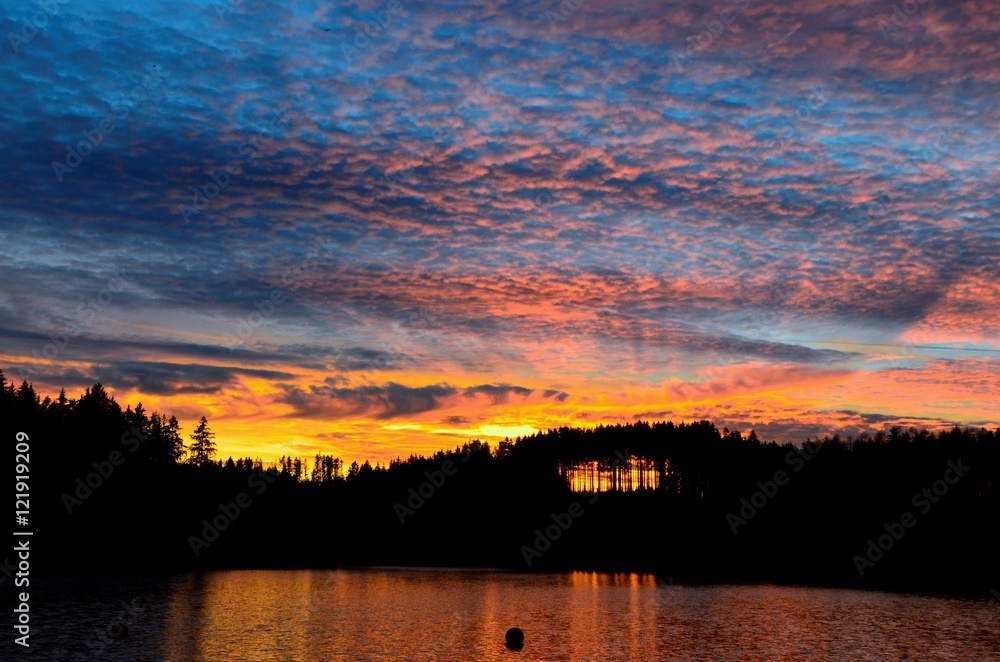 Obraz premium Sunset Shinethrough