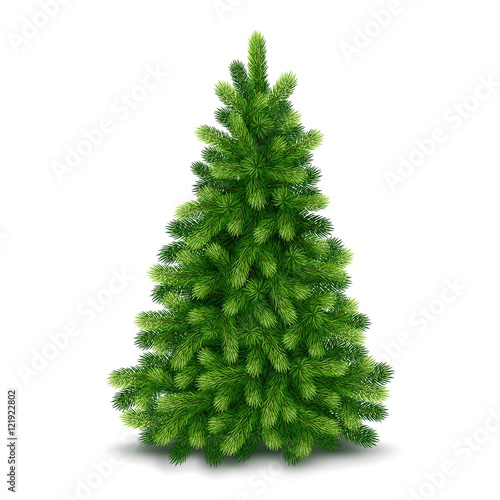 Christmas tree, detailed vector illustration photo