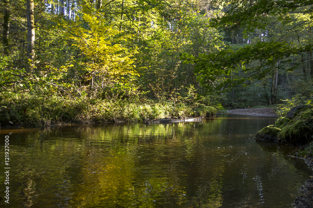 Idyllische Landschaft an einem herbstlichen Bach