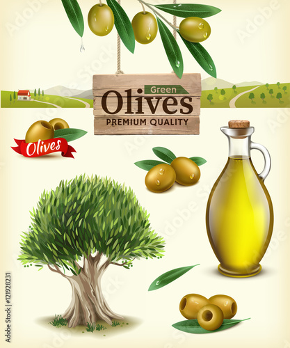 Realistic vector illustration of fruit olives, olive oil, olive branch, olive tree, olive farm. Label of green olives with realistic olive branch against the backdrop of olive plantations