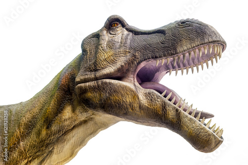 Sculpture of dinosaur ( Tyrannosaurus rex ) in live size with open jaws. Isolated. Clipping Path included. © fotoyou
