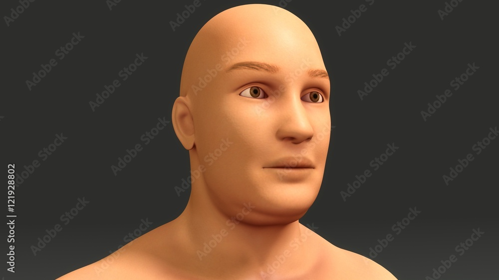 Male 3D Model Male 3D Model