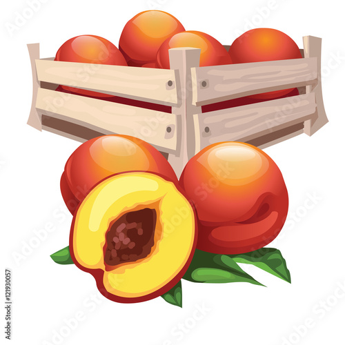 Peach harvest in wooden box, vector fruit