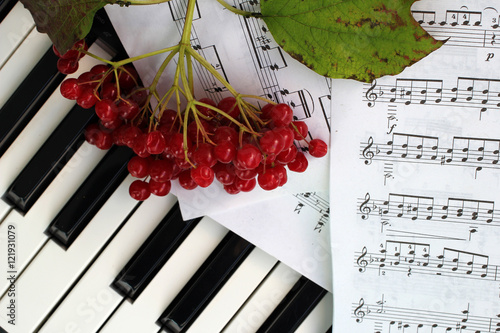 Клавиши фортепиано, ноты и ягоды рябины