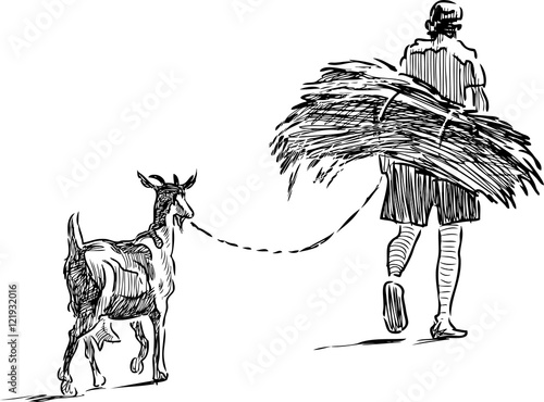 farmer with brushwood and his goat go home