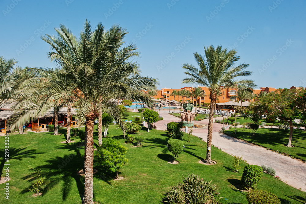 Fototapeta premium Palms trees on garden of resort at sunny day