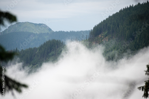 Misty morning mountain view © Martins Vanags